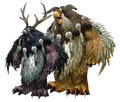 Moonkin.png