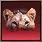 Spell Icon