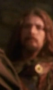 Male Viking 4