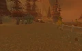 Scarletruins-havenshire2.jpg