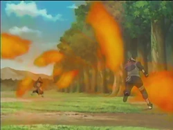 Phoenix Immortal Fire.jpg