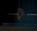 Extendable Ears.jpg