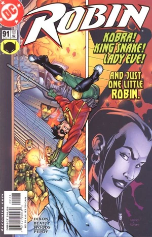 Cover for Robin #91