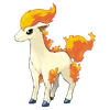 Ponyta