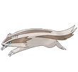 Linoone