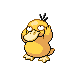 Psyduck Pt