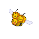Combee Pt