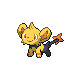 Shinx Pt variocolor