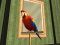 Tony (loro).jpg