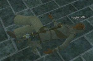Seeress dead.jpg