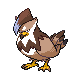 Staraptor DP variocolor hembra