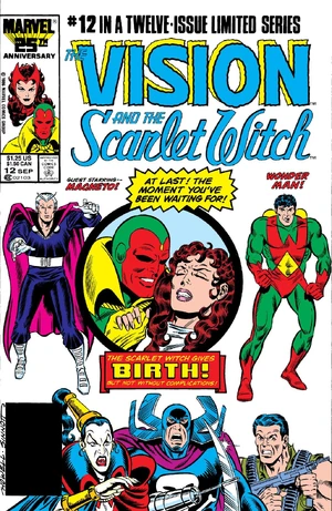 Vision and the Scarlet Witch Vol 2 12.jpg