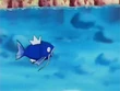EP010 Magikarp