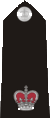 50px-UKPoliceSuper.gif (2 KB) 50px-UKPoliceSuper