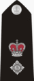 50px-UKPoliceChiefSuper2.gif (3 KB) 50px-UKPoliceChiefSuper2