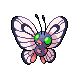 Imagen de Butterfree variocolor macho en Pokémon Platino
