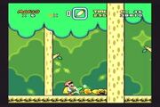 SMW2
