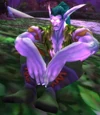 Crildor