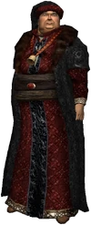 People Novigrad traveller
