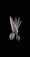 Throwingknife