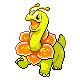 Meganium Pt variocolor hembra