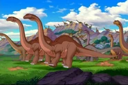 Longnecks 4