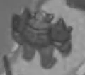 Thumbnail for version as of 19:10, September 28, 2008