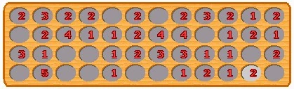 Huscap1
