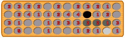 Huscap3