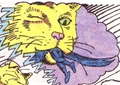 PG's cat 07