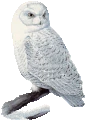 Animals2017wwg.gif