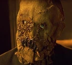 Scarecrow1