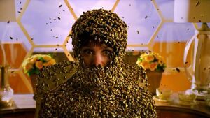 Bzzzz0776