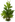 Yeq