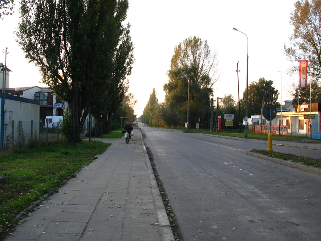 Plik:Słoneczna.JPG