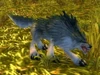 Mangy Wolf