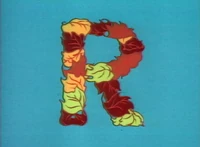 3816p