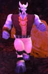 Expedition Researcher