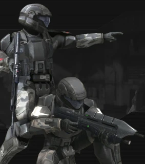Halo Conflict