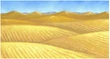 FFII Background Desert