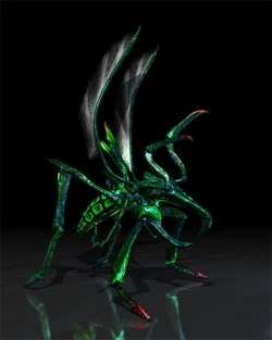 Hopper Bug