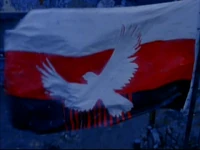 Terminal City Flag.jpg