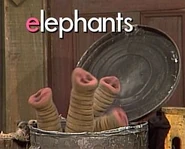 Oscarselephants
