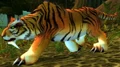 Stranglethorn Tigress.jpg