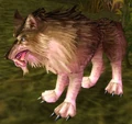 WorgPup.jpg