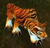 Bloodscalp Tiger
