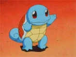 EP015 Squirtle del caballero