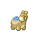 Numel Pt variocolor