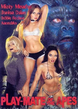 Playmate