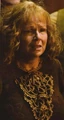 Molly Weasley HBP.JPG